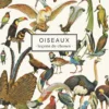 Carnet Oiseaux - Leçons de choses