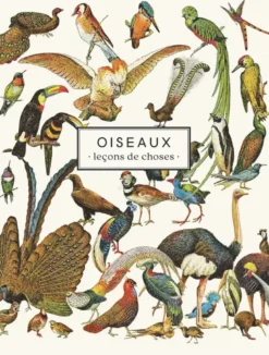 Carnet Oiseaux - Leçons de choses