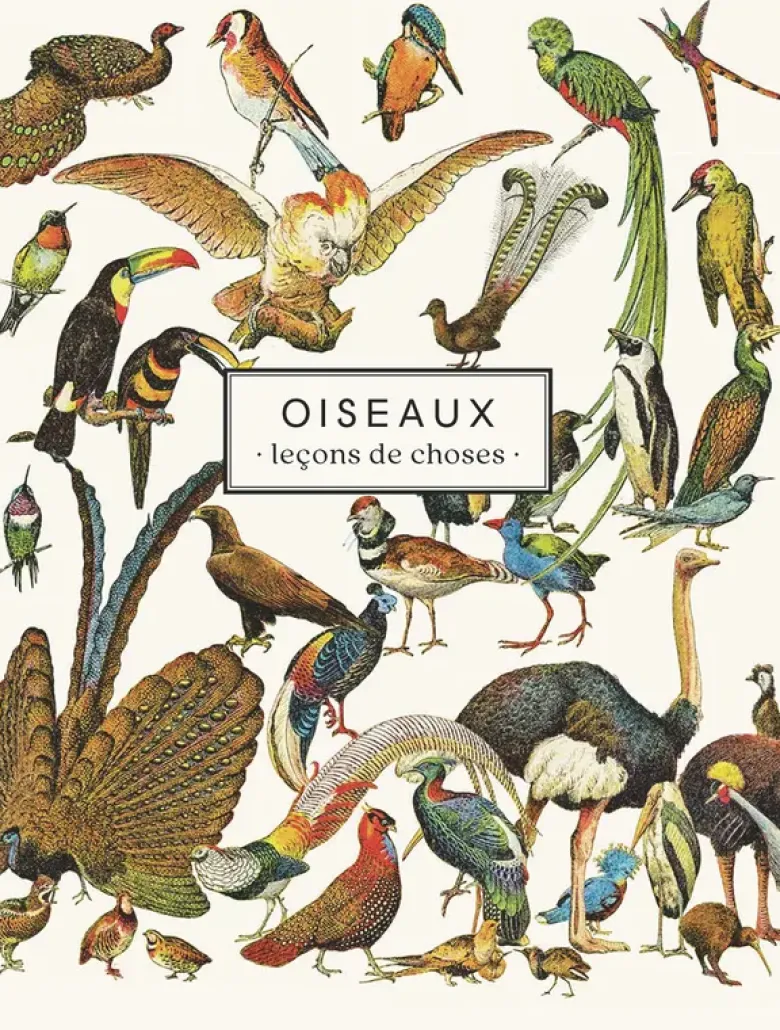 Carnet Oiseaux - Leçons de choses