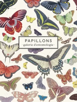 Carnet Papillons - Galerie d'entomologie