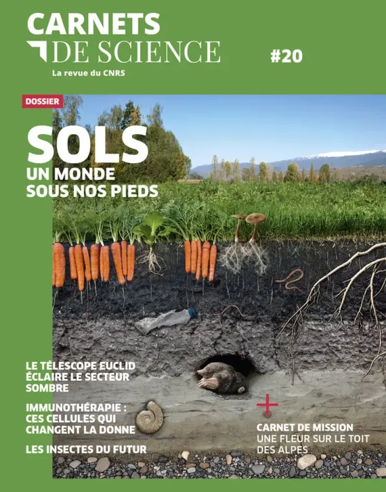Carnets de Sciences 20 - Sols, un monde sous nos pieds