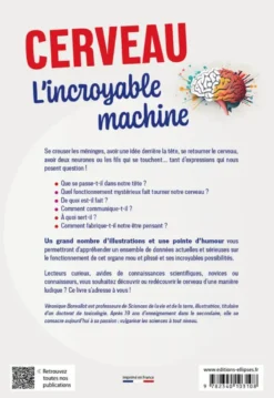 Cerveau. L’incroyable machine
