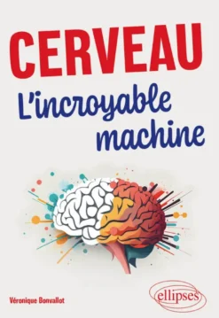 Cerveau. L’incroyable machine