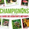 Champignons