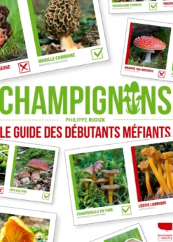 Champignons