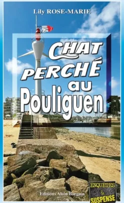 Chat Perché au Pouliguen