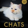 Chats