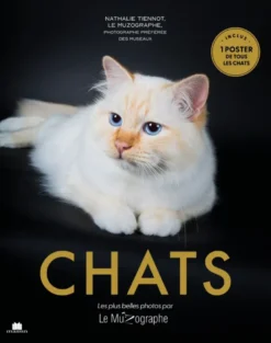 Chats
