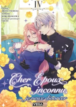 Cher époux inconnu, je veux divorcer - Tome 4