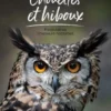 Chouettes et hiboux