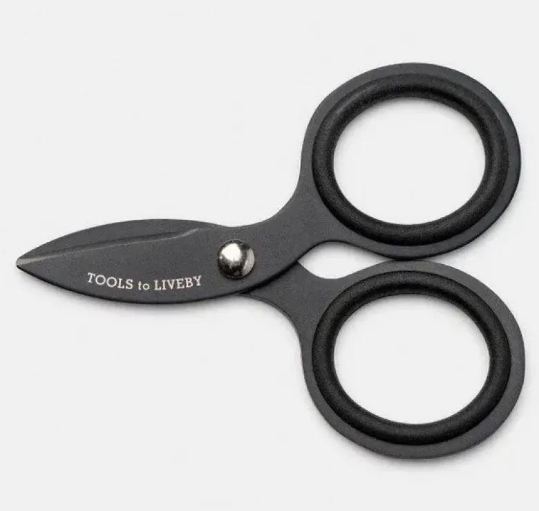 Ciseaux Mini en acier Noir
