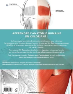 Colorier toute l'anatomie