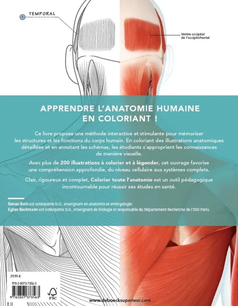 Colorier toute l'anatomie
