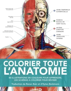 Colorier toute l'anatomie