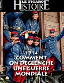 1914, Comment on déclenche une guerre mondiale