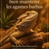 Comprendre et bien maintenir les agames barbus
