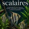 Comprendre et bien maintenir les scalaires