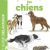 Comprendre facilement les chiens