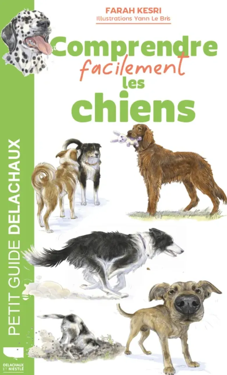 Comprendre facilement les chiens