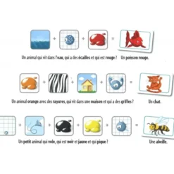 Concept Kids - Animaux