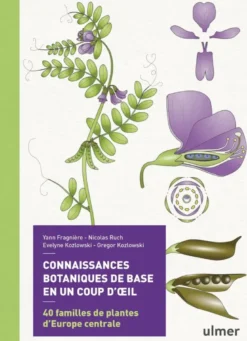 Connaissances botaniques de base en un coup d'oeil