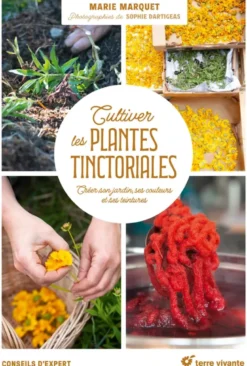 Cultiver les plantes tinctoriales