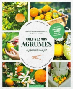 Cultivez vos agrumes