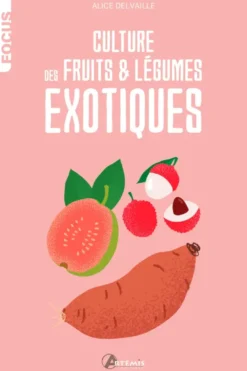 Culture de fruits et légumes exotiques