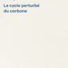 Cycle perturbé du carbone