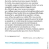 Dans la tête d'un chat