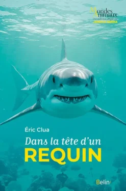 Dans la tête d'un requin