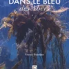 Dans le bleu des Abers