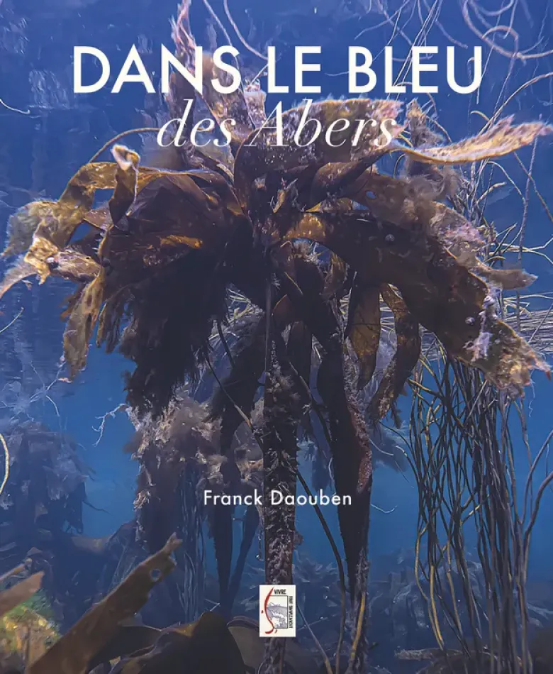 Dans le bleu des Abers