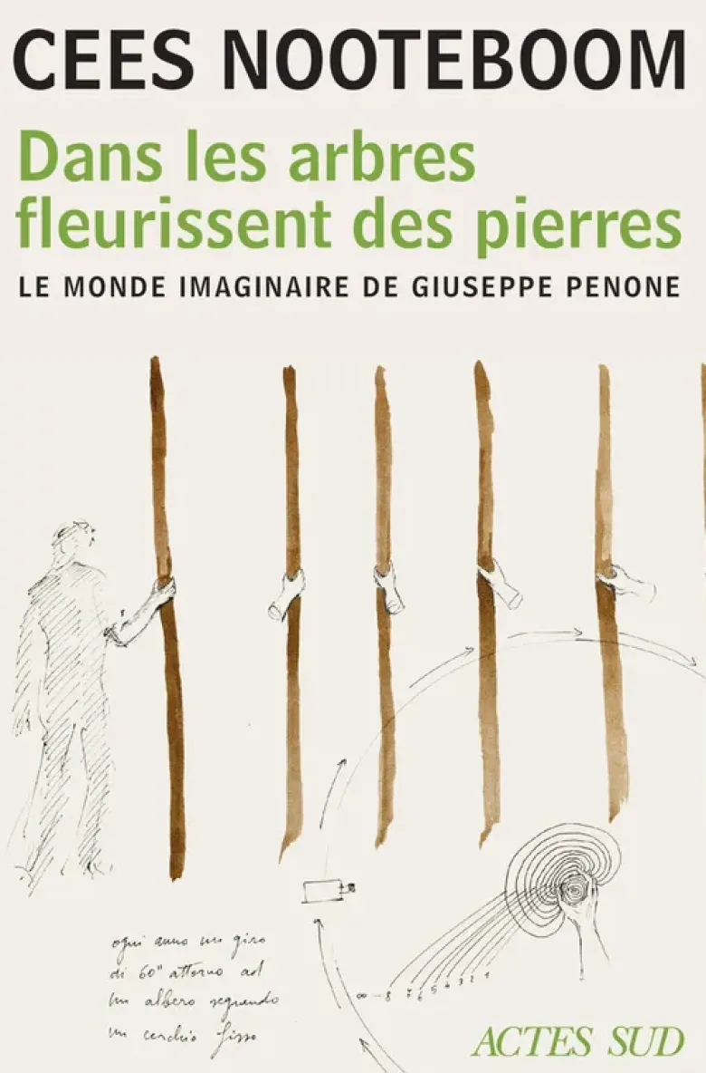 Dans les arbres fleurissent des pierres