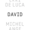 David, Michel-Ange