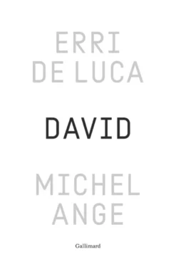 David, Michel-Ange