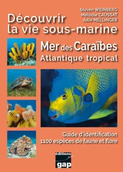 Découvrir la vie sous-marine Mer des Caraïbes Atlantique tropical