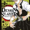 Demon Slayer T17