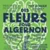 Des fleurs pour Algernon