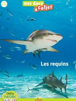Défis Nature - Les requins