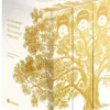 Dictionnaire Historique de la langue française - coffret 3 volumes - blanc