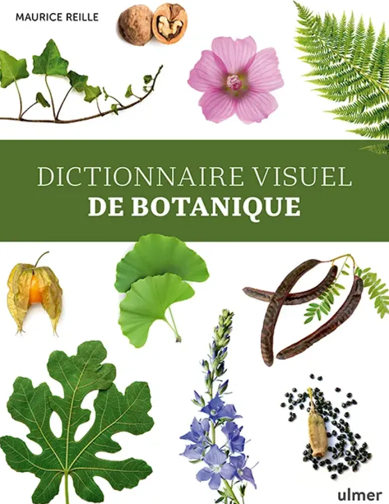 Dictionnaire visuel de botanique