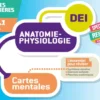 Diplôme Infirmier - DEI - Cartes mentales - Anatomie Physiologie