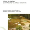 Dépollution verte