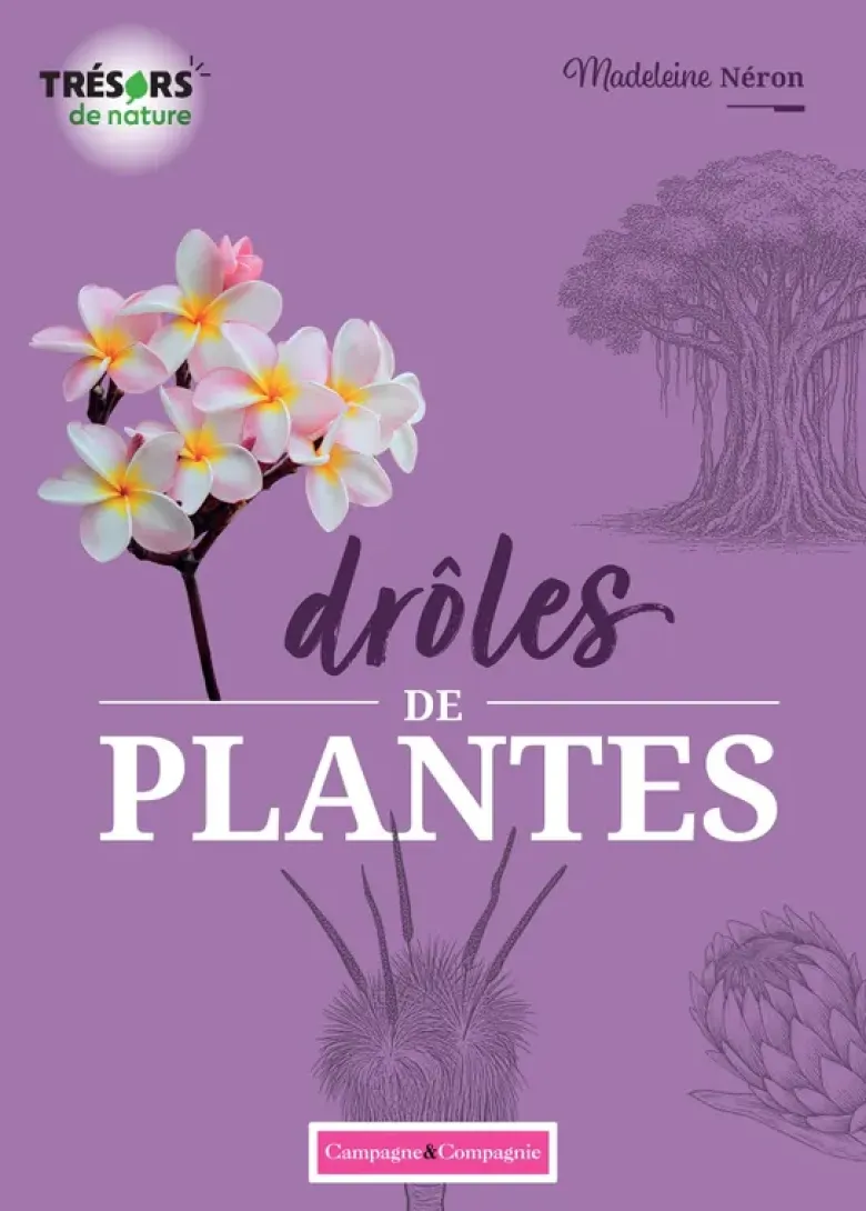 Drôles de plantes