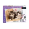 Duo de chatons 100 pièces