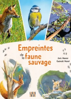 Empreintes de la faune sauvage