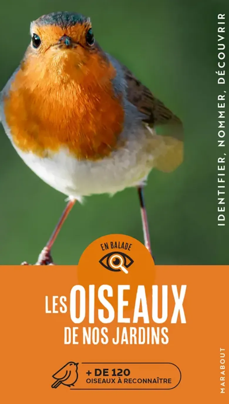 En balade - Les oiseaux de nos jardins