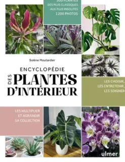 Encyclopédie des plantes d'intérieur