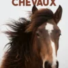 Eperdument chevaux